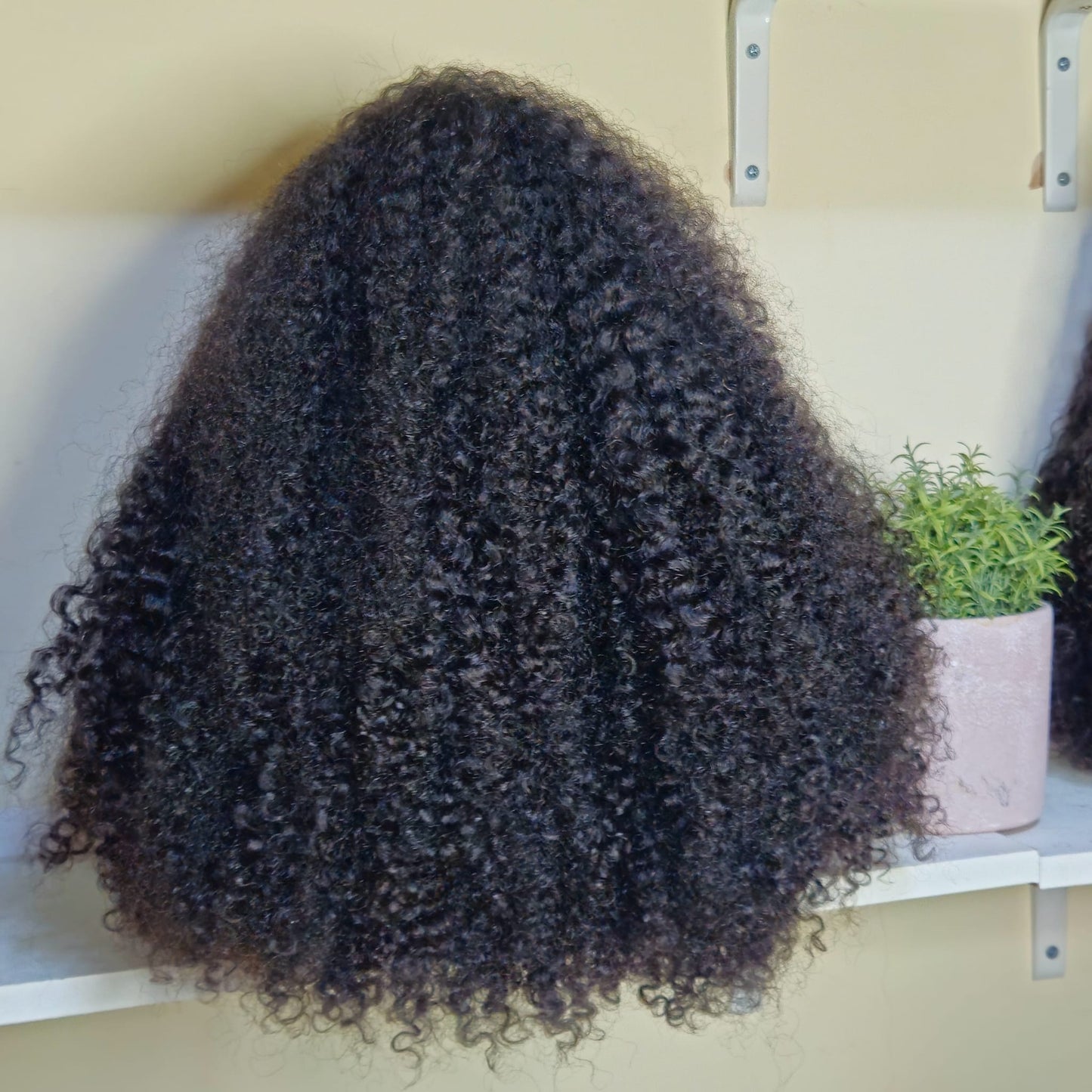 Karin Wig